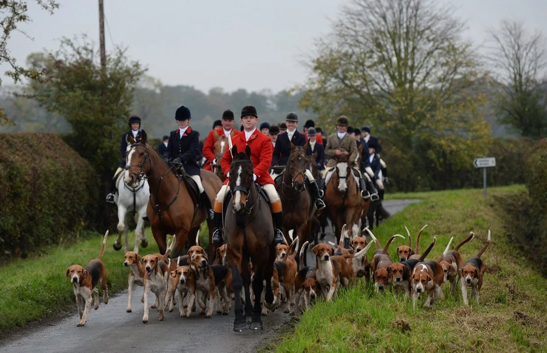 Hunting in Yorkshire, England: geographical and natural features of the region, hunting seasons, interesting facts and t…