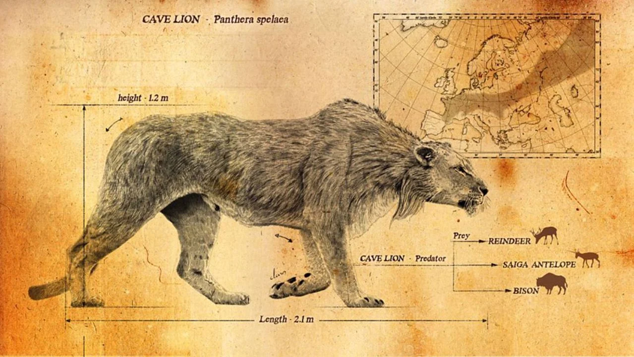Европейский лев

Европейский лев (лат. Panthera leo europaea) — вымерший подвид льва. Иногда считается региональной формой азиатского льва или подвидом пещерного льва. Де