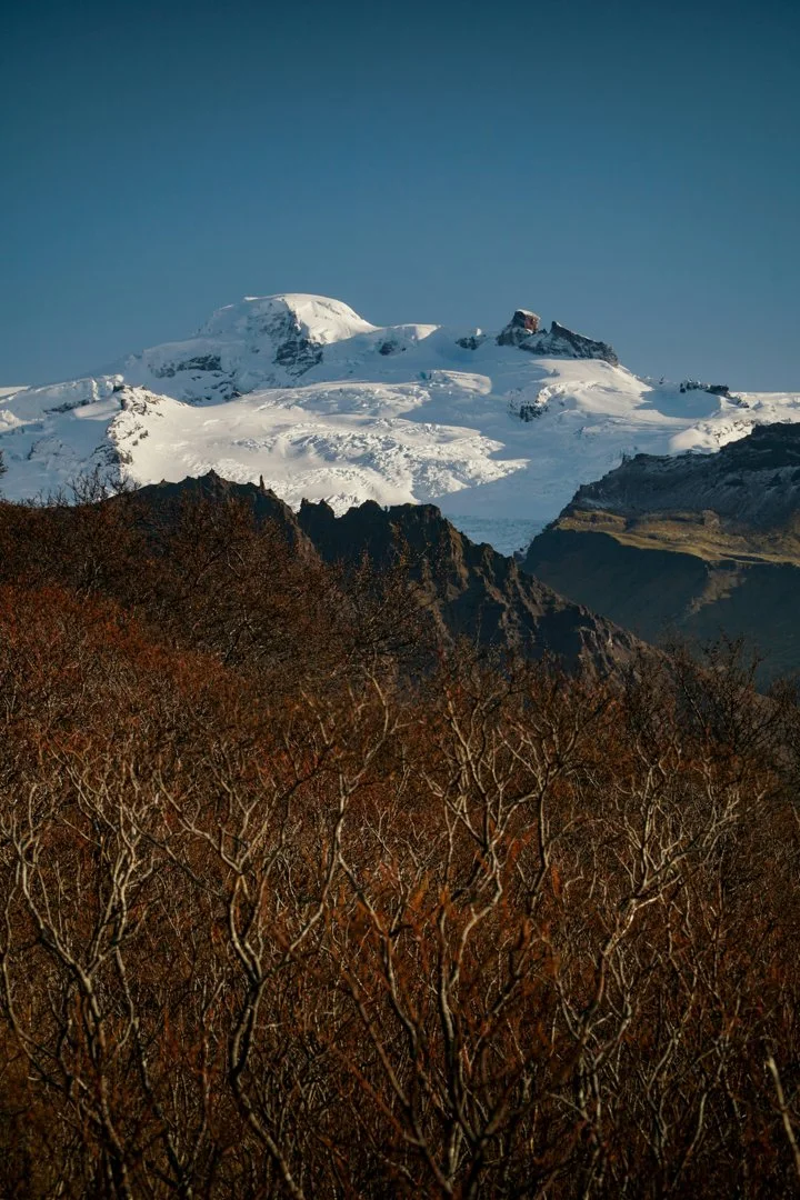 La Zona Austral de Chile es el último bastión para los cazadores aventureros: temporadas de caza, datos  poco conocidos y características de la caza en la región

Caracte