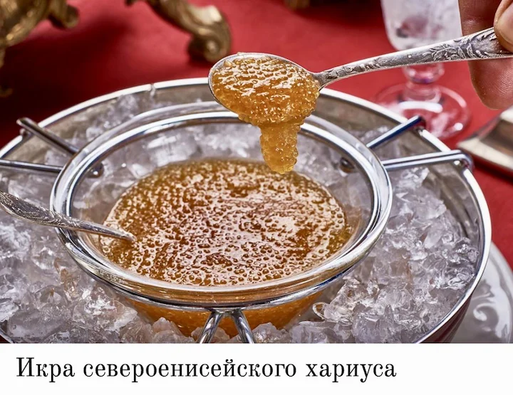 Ресторан Чемодан: Сибирская охотничья кухня в сердце Москвы