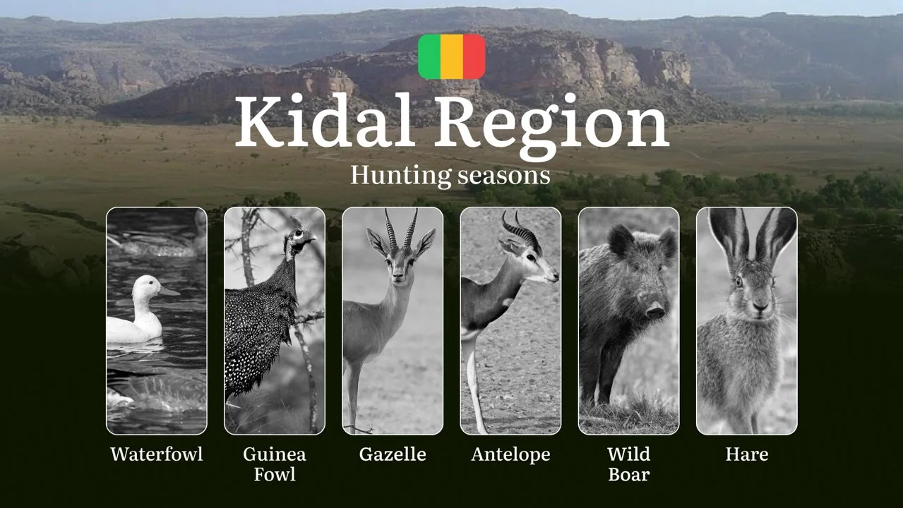 Hunting Season Schedule in Kidal Region: Year-Round Huntable Species, Game Movement by Season, and the Procedure for Obtaining an Official Hunting Permit

Hunting in Kida