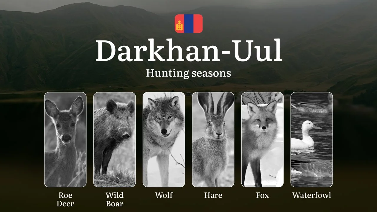 Hunting Periods and Permits in Darkhan-Uul Province: A Detailed Look at Game Movement Throughout the Year, Seasonal Limi…