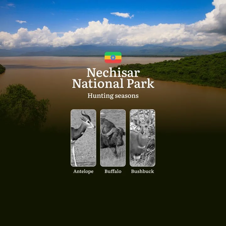 Seasons of Hunting in NECHISAR NATIONAL PARK, Ethiopia: Seasons and Dates of Hunting, Licenses, and Features, Timing, Tactics