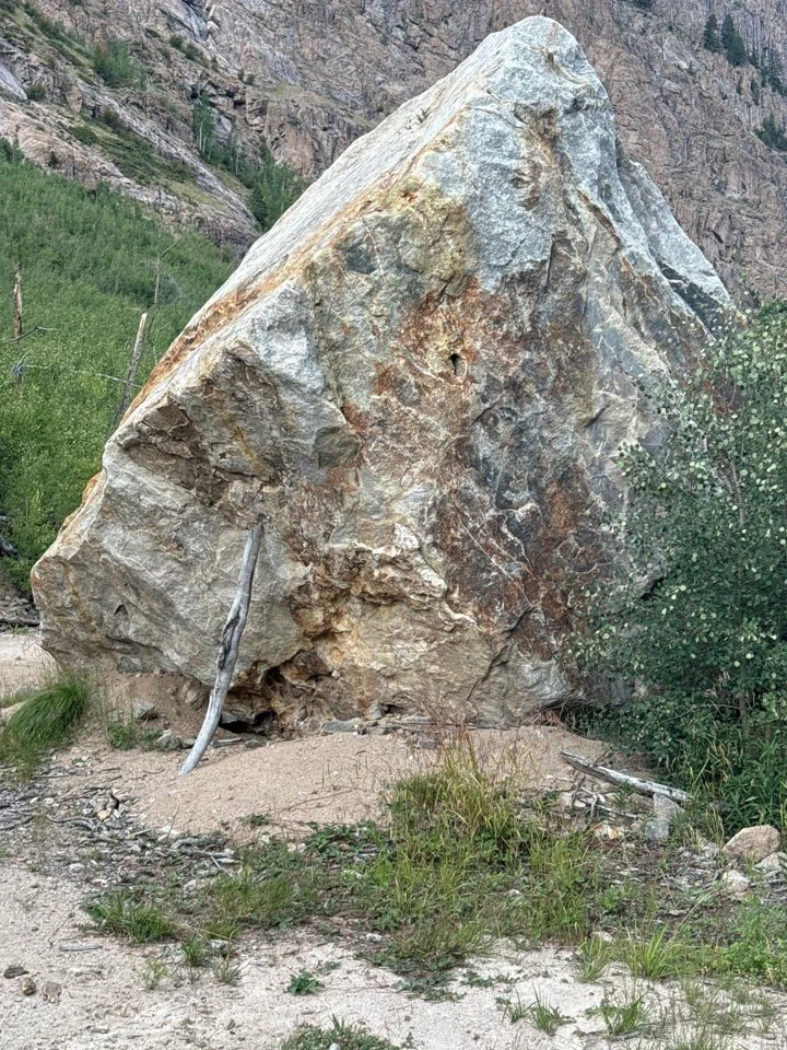 I was taking a hike up a centennial 13er in the San Juans on Tuesday morning and was, uh, surprised to meet up with a couple of female moose on my path up. We had a stand