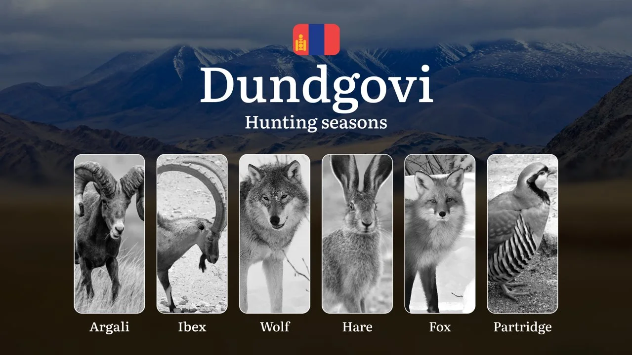 Hunting Periods and Permits in Dundgovi Province: A Detailed Look at Game Movement Throughout the Year, Seasonal Limits,…