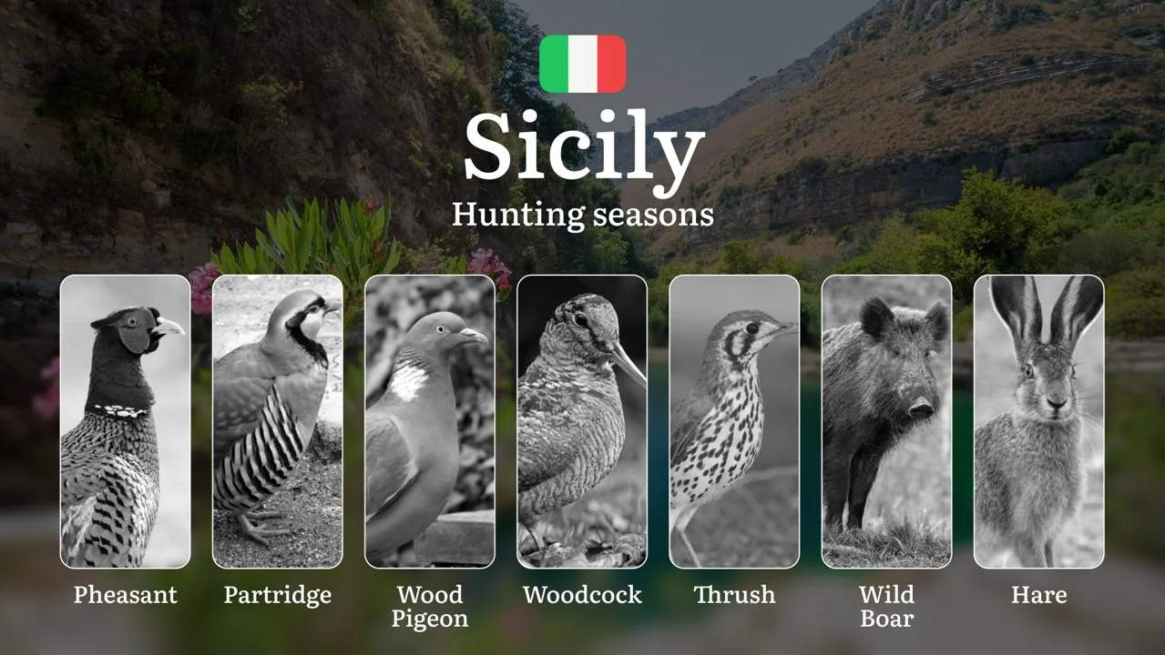 Sicily Hunting Seasons and Calendar: Ancient Traditions Meet Modern Dates in Nebrodi and Madonie Ranges