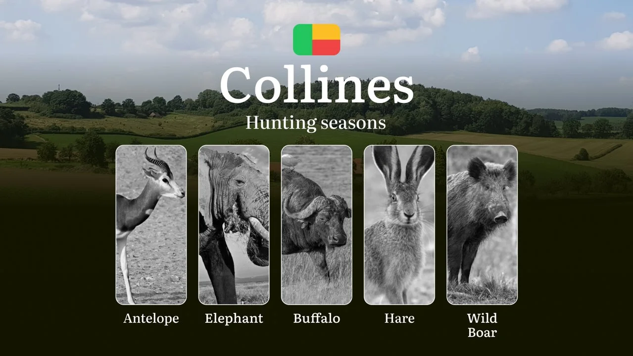 Hunting Seasons in Benin’s COLLINES Region: Hunting Periods, Licenses, Rules, Dates and Times for Hunting

Hunting in West Africa is not only a traditional activity or a 