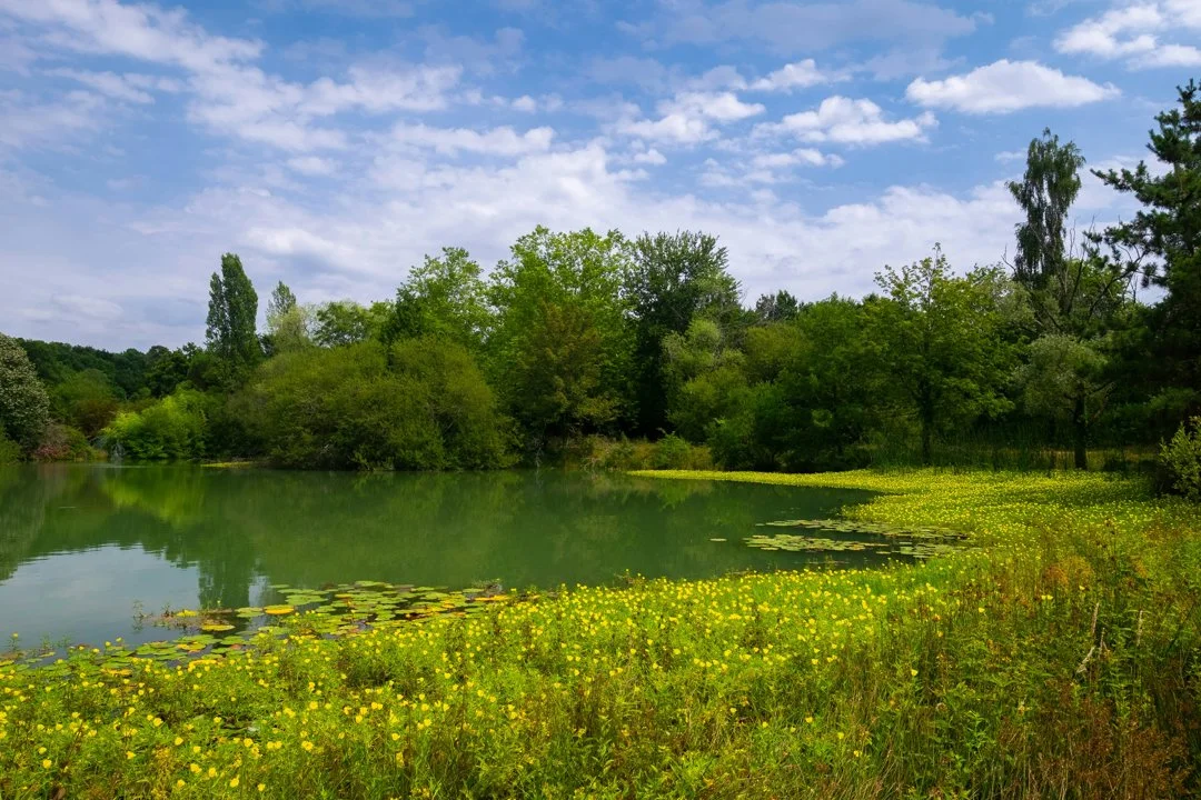 Chasse en SOLOGNE: Caractéristiques géographiques, législation locale, traditions de chasse et associations de passionnés
La Sologne, région naturelle située au cœur de
