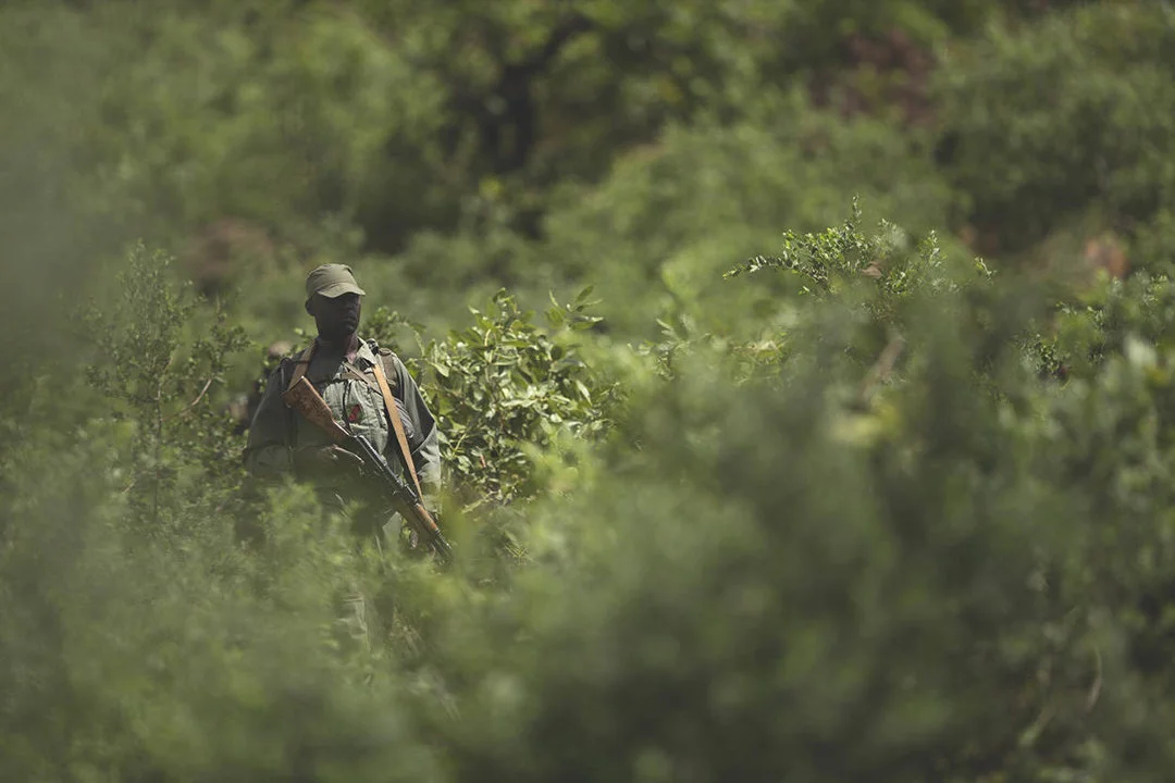 Koulikoro: West Africa’s Hidden Gem for Hunters – Exploring Savannahs, Riverine Riches, and Cultural Traditions in Mali’…