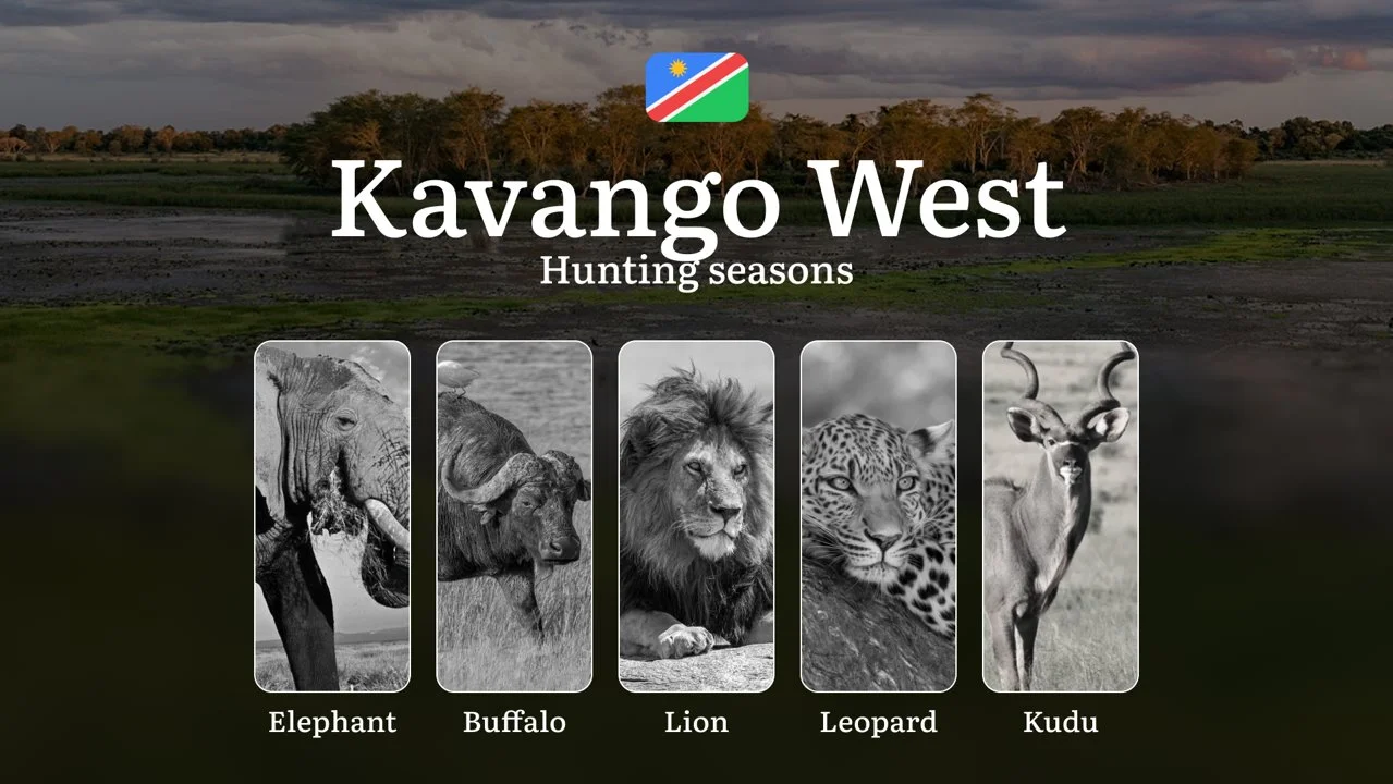 Hunting Seasons in Kavango West: Territorial Regulations, Getting Licensed, Legal Risks of Off-Season Activity, Insights…