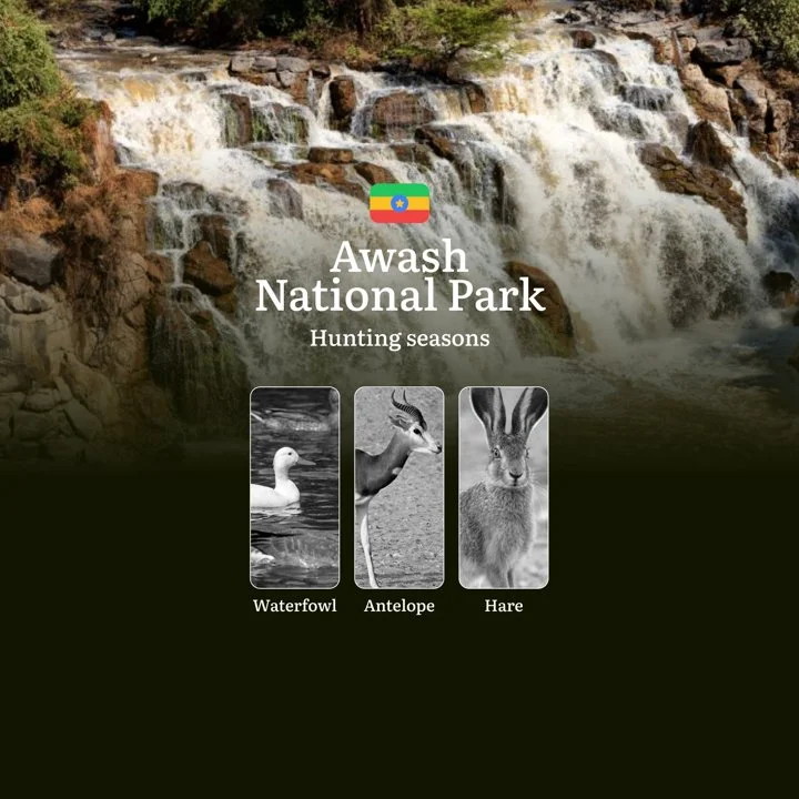 Hunting Dates in AWASH NATIONAL PARK, Ethiopia: Seasonality of Hunting, Rules, Terms, and Features, Liability for Violat…