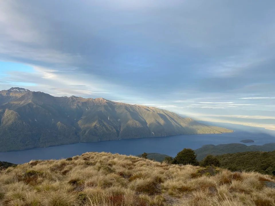 Hawke’s Bay hunting secrets: where to find the best game, hunting clubs and associations, historical traditions in the region

Landscape and ecological features of the re