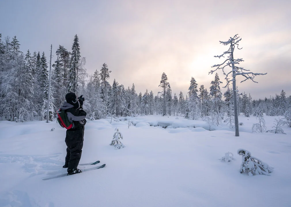 Exploring Kainuu Hunting: Characteristics, Clubs, Legislation, and Interesting Facts for Hunters