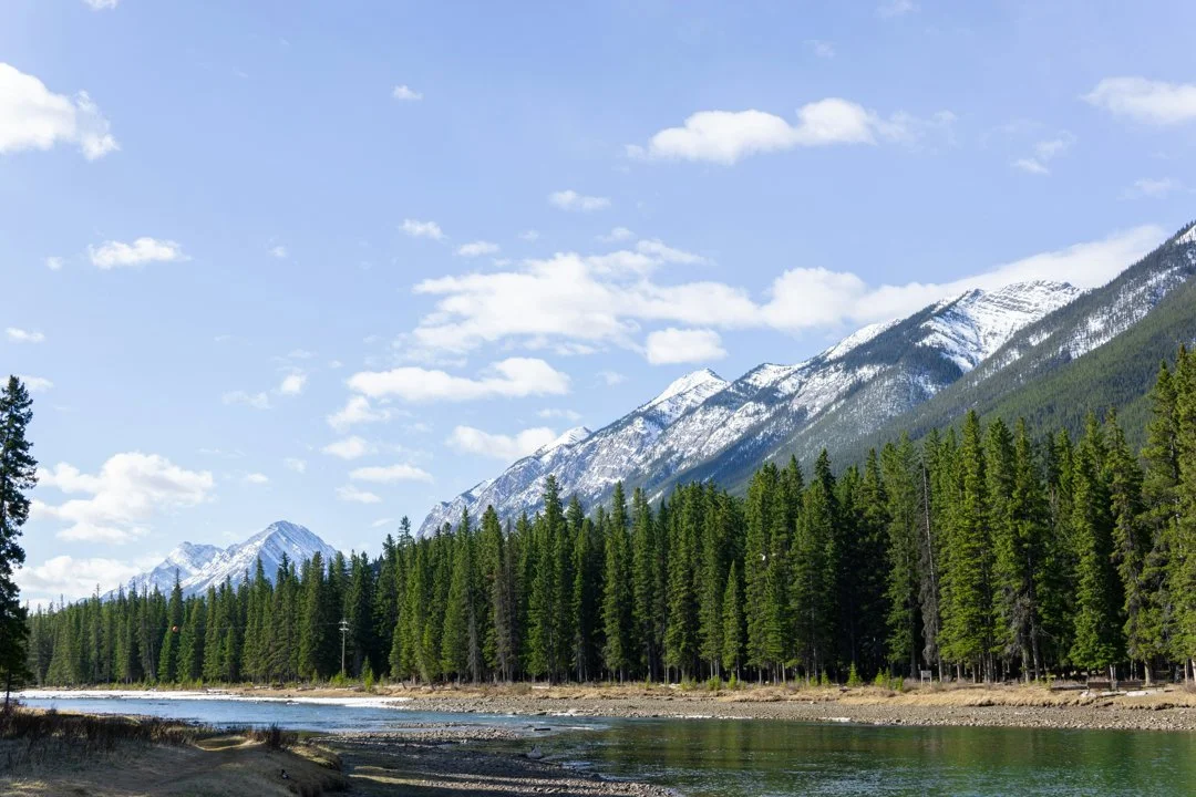 La chasse en RÉGION ÉLOIGNÉE au Canada: Démographie des chasseurs, législation locale et défis nordiques

Le Canada est une terre d’opportunités infinies pour les amateur