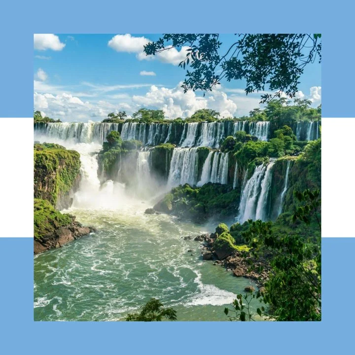 Argentina: todo sobre caza y pesca, noticias, foro. avatar