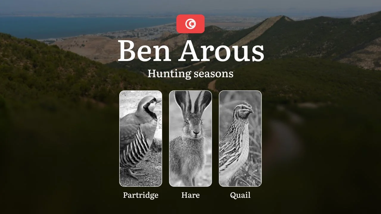Hunting Seasons in BEN AROUS: Optimal Hunting Periods, General Rules, Game Activity, Protected Species, Obtaining a Hunt…
