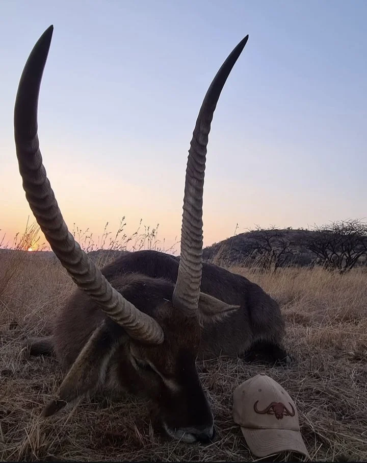 Navigating Africa's Hunting Seasons: A Guide for the Ethical and Informed Hunter
Planning an African hunting safari? Understand the key hunting seasons by country and sp