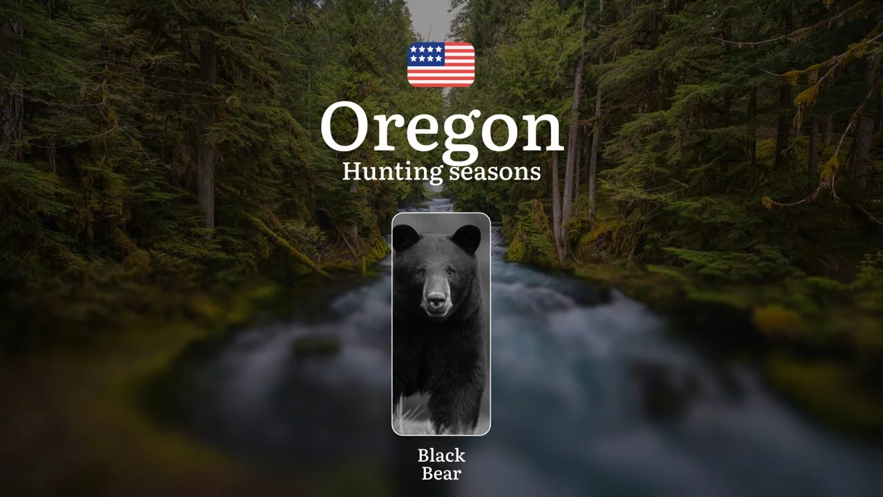 Black Bear Hunting Seasons in Oregon, USA: Dates, Licenses, Rules, and Best Times to Hunt

Hunting Black Bears in Oregon, Key Natural Features and Season Dates

Hunting b