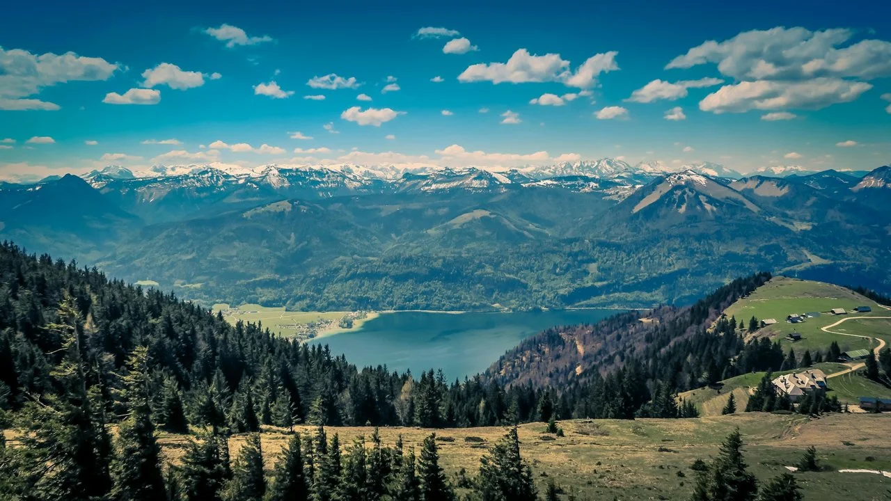 Jagd im Bezirk Horn: Wildarten, Landschaft, Saisonverlauf, Jagdmethoden, Rahmenbedingungen, Jägerstatistik, Besonderheiten, Details
Wildarten und jagdliche Möglichkeiten