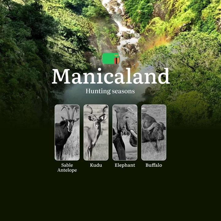 From Highland Mist to Lowland Rivers: Decoding Manicaland's Split Hunting Seasons and Events

Hunting Regulations and Seasonal Framework in Manicaland

The official hunti