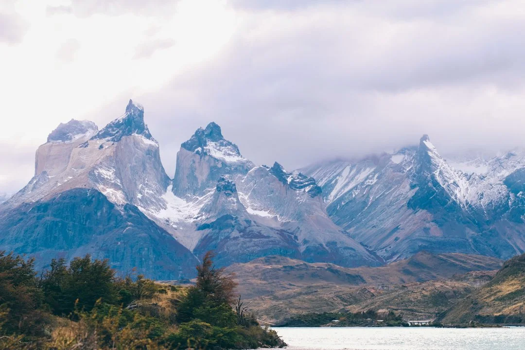 Coquimbo para Cazadores: Explora los Mejores Terrenos de Caza, Conoce la Legislación Local y Descubre la Fauna Silvestre Única del Norte Chico de Chile
Características g