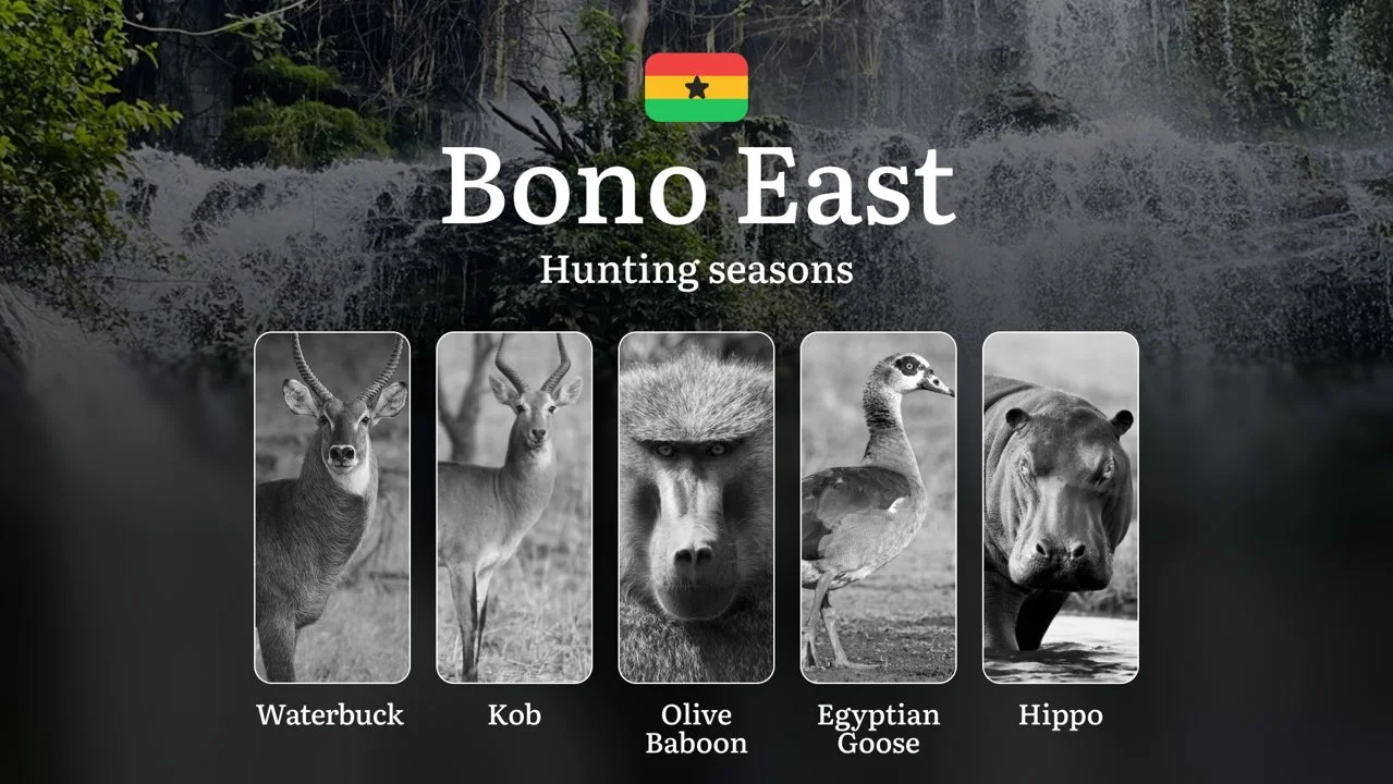 Hunting in Bono East: Understanding Hunting Calendar, Legal Permits and Restrictions, Local Hunting Traditions