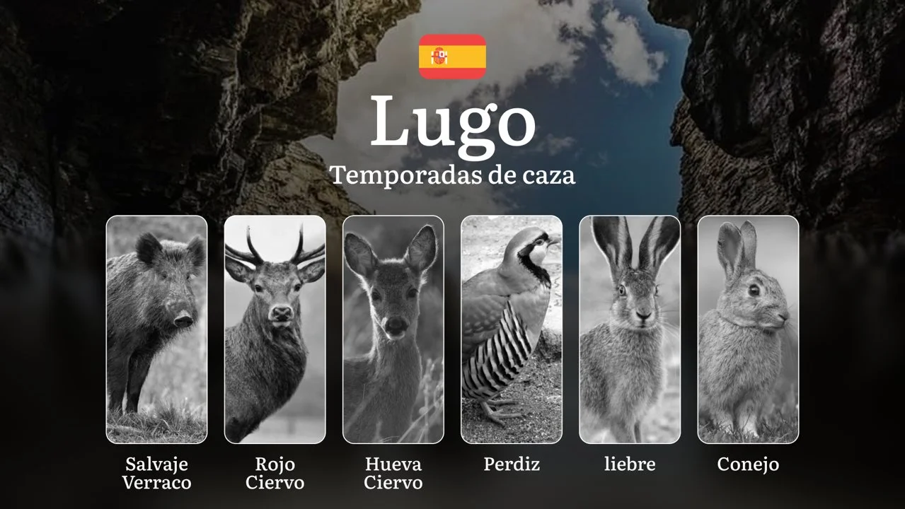 Temporadas y períodos de caza en LUGO: Fechas, Normativas y Épocas Ideales para la Práctica Cinegética
La provincia de Lugo, en Galicia, es un paraíso para los amantes d