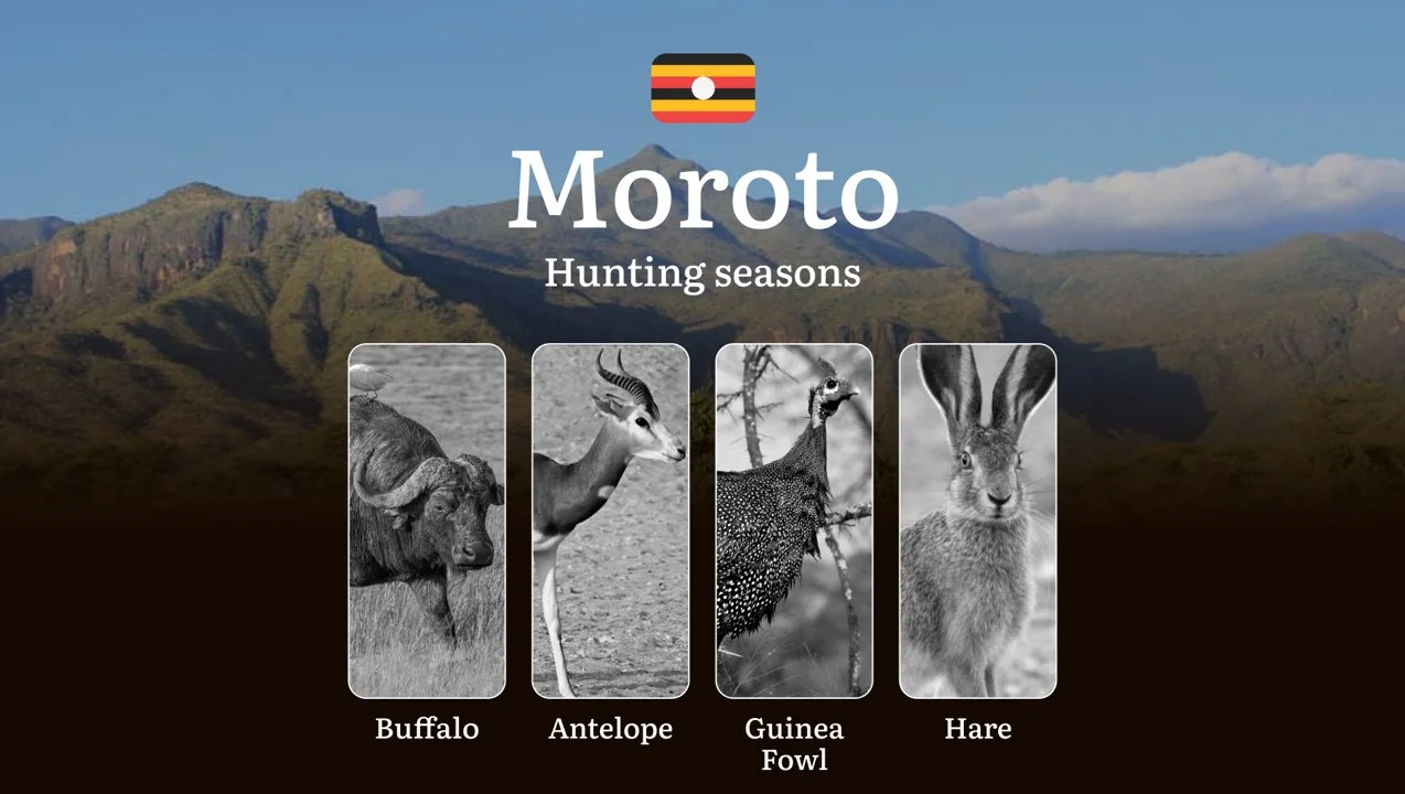 Seasonal Hunting Periods in Moroto: Limits and Seasonal Prohibitions, Licensing Conditions, Fines and Legal Effects of Non-Compliance, Strategic Preparation, Best Hunting Times, Gear Choices
