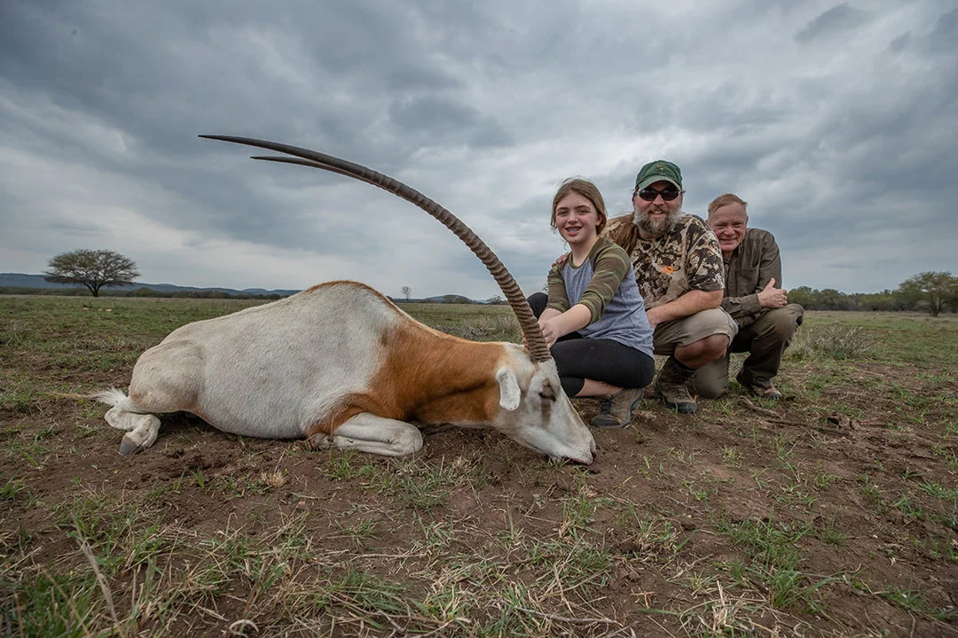 Explore the challenges and ethics of desert gazelle hunting in the Dakhla region, Morocco. Understand the unique environment and responsible pursuit of this elusive game.