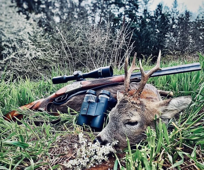 Blaser 700/88 Review: Calibers, Modifications, Foto, User Reviews.