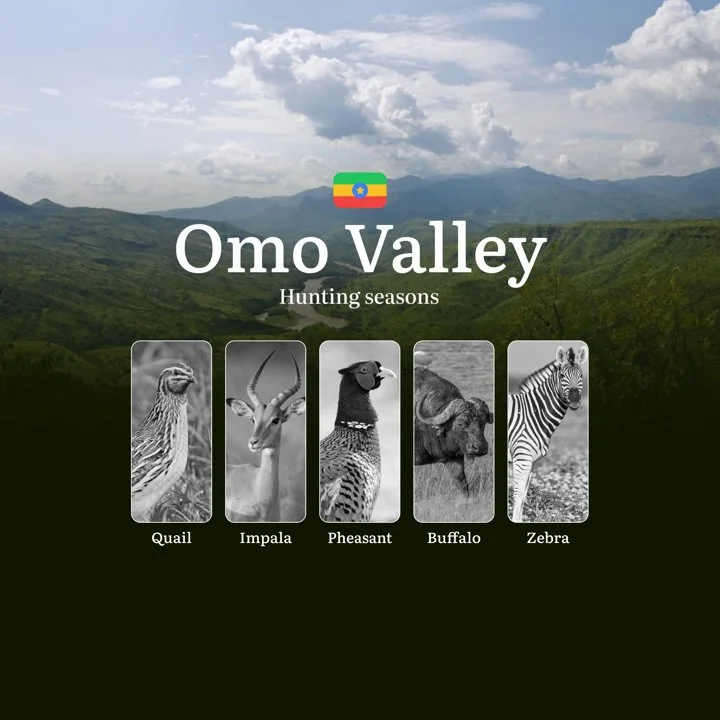 Hunting Seasons in Ethiopia’s OMO VALLEY: Hunting Periods, Times and Dates, Licenses, Rules, and Consequences for Violating Hunting

The Omo Valley region of Ethiopia is 
