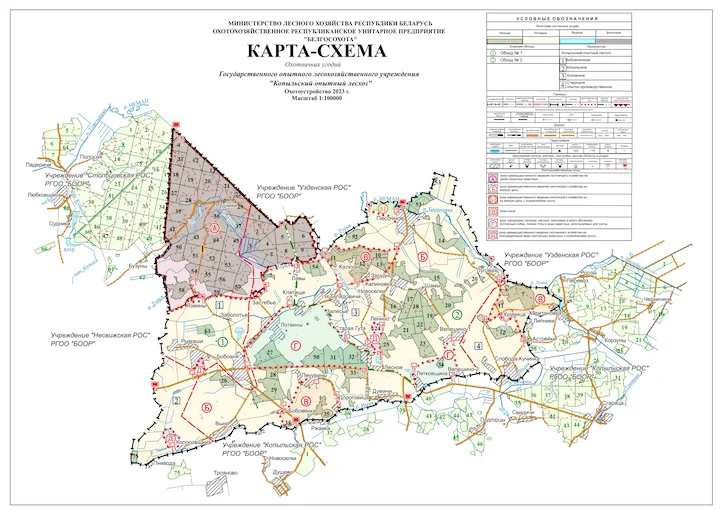 Копыльский лесхоз: карты и границы для охоты, места и схемы пристрелки