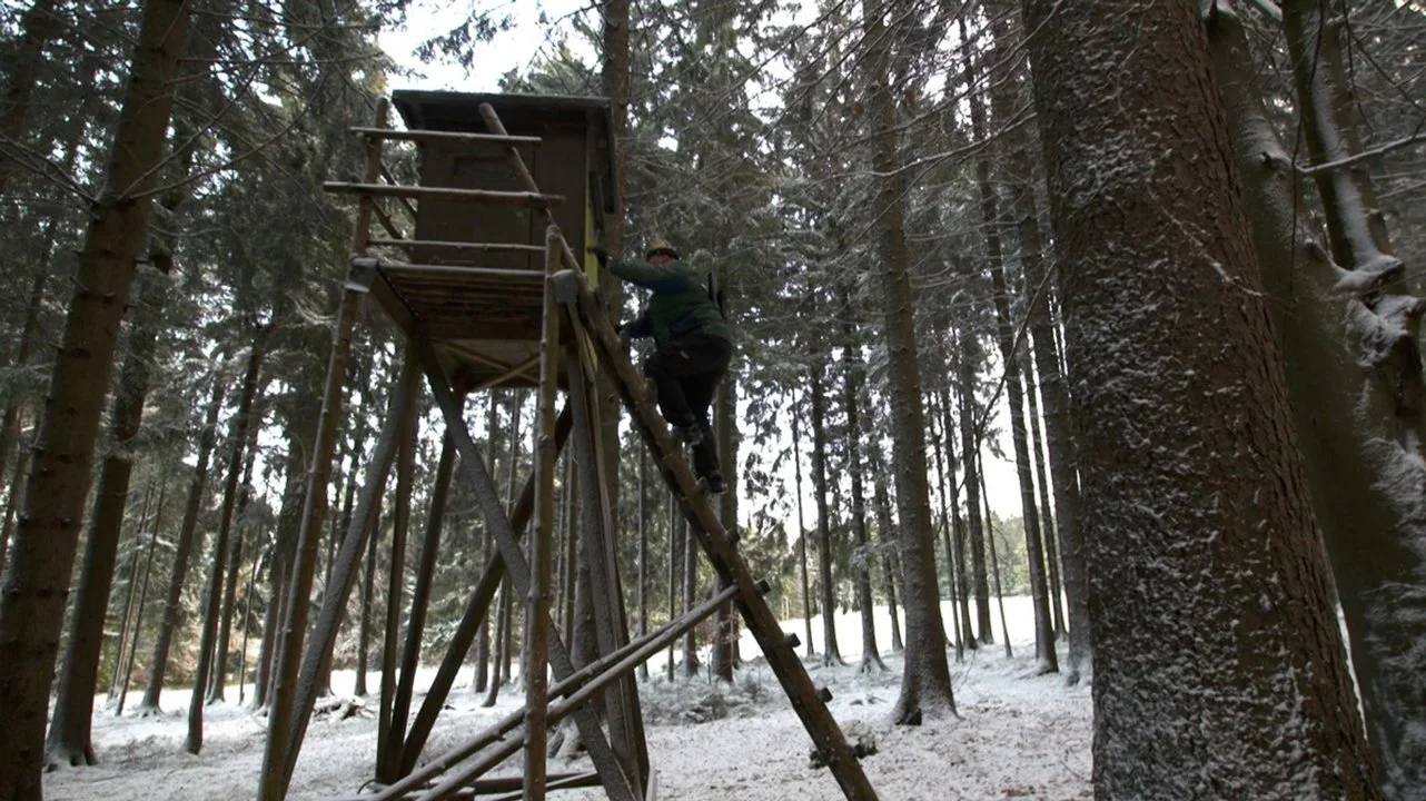 Jagd im OBERPFÄLZER WALD: Struktur der Jägerschaft, geltende Jagdzeiten, rechtliche Besonderheiten und bemerkenswerte Fakten über die Region
Landschaftliche Charakterist