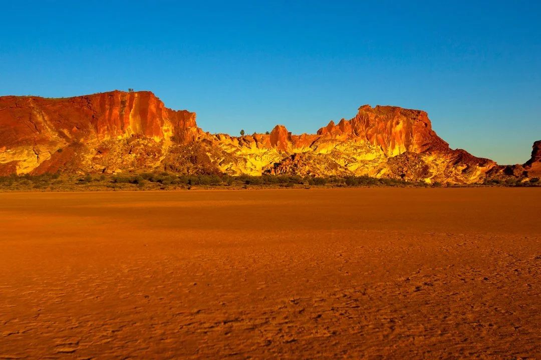 Red Centre Kangaroo Culling: Balancing Ecology and Hunting Practices, Demographics, Legislation System, Associations and…