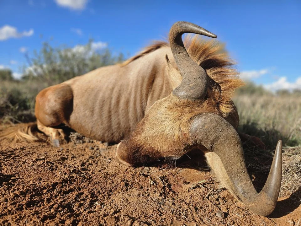 Cultural Hunting Expeditions in Busia, Uganda: Blend of Traditional Techniques & Rare Game Species

Geographical Features and Natural Landscape

Busia, a district located