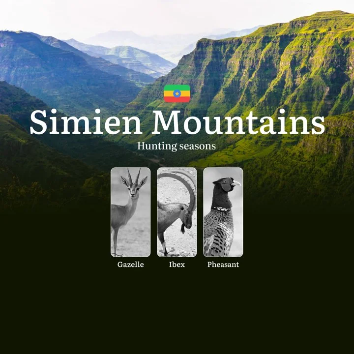 Ethiopia’s SIMIEN MOUNTAINS Hunting Seasons: Dates, Licensing and Hunting Practices, Restrictions and Bans

Hunting in the Simien Mountains is a unique experience that co