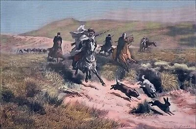 Hare Hunting in Morocco: Complete Guide to Seasons, Locations, Gear, and Costs
Hare hunting in Morocco is a thrilling pursuit that blends ancient tradition with modern a