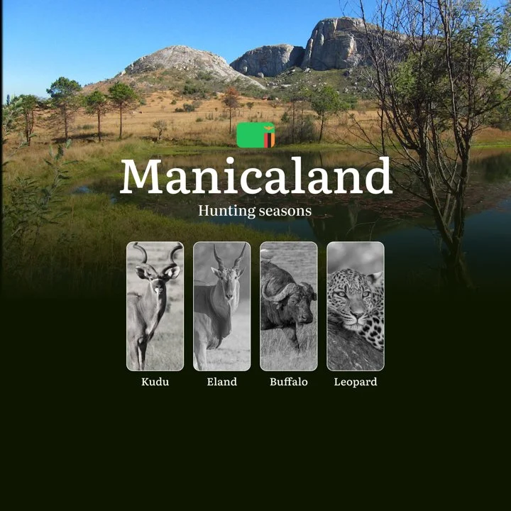 Seasons of the Chase: Hunting Calendar, Regulations and Prime Opportunities in Zambia's Manicaland Region