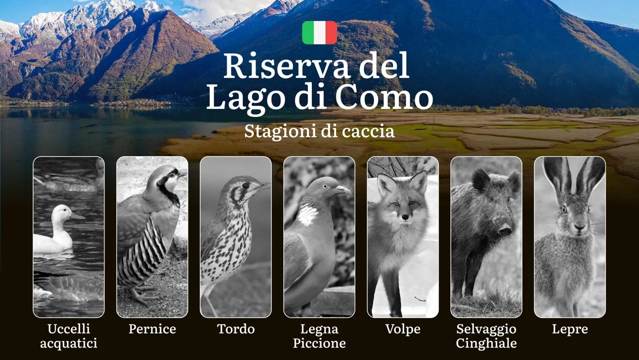 Caccia nella Riserva del Lago di Como: Normative, Periodi e Consigli per i Cacciatori

Il Lago di Como , celebre per il suo paesaggio mozzafiato e le ville storiche che l