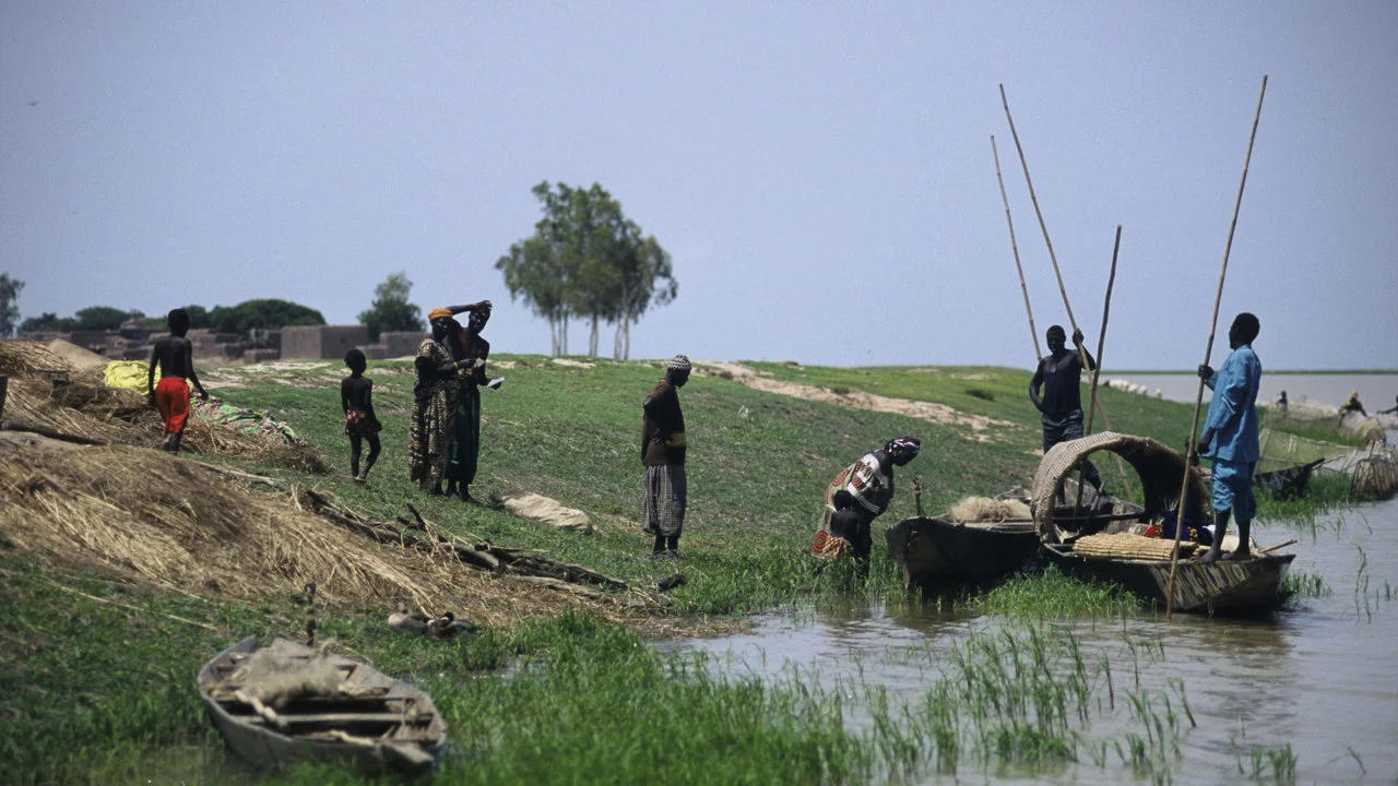 Crossing Borders, Chasing Game: The Untamed Allure of Hunting in Mali and Niger’s Shared Wilderness
Cross-border hunting between Mali and Niger offers a unique opportunit