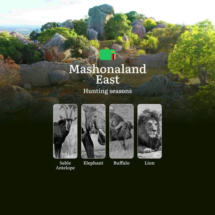 When the Bush Awakens: Hunting Seasons, Prime Times and Conservation Practices in Zambia's Mashonaland East