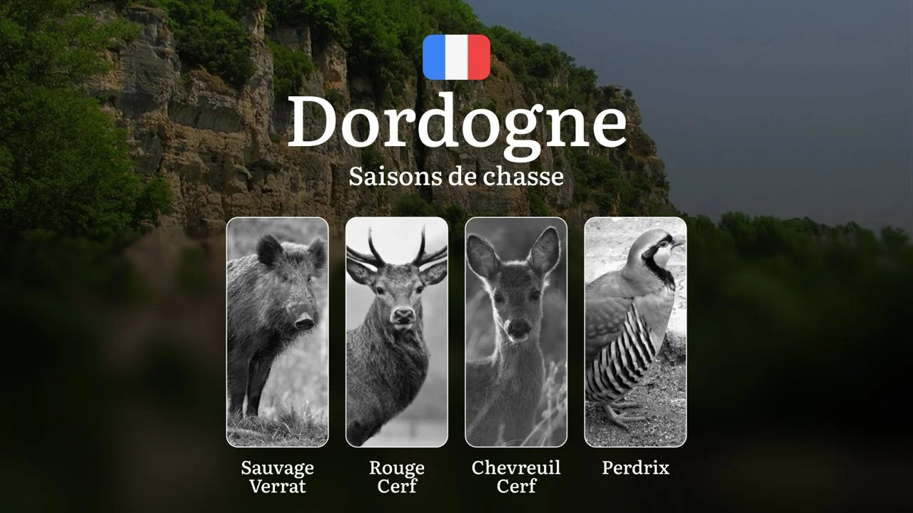 Saisons de chasse en DORDOGNE: Calendrier, Réglementation Générale, Périodes d’Interdiction et Conseils Pratiques

La Dordogne, avec ses forêts profondes, ses rivières si