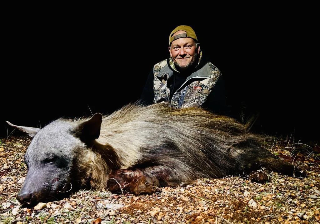 ZA/LP/106872

Spotted hyena
Brown Hyena 
Permits available

CONTACT LIMPOPO BIG GAME SAFARIS 