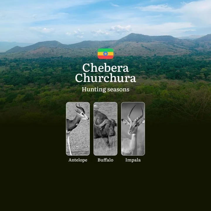 Hunting Seasons in CHEBERA CHURCHURA NATIONAL PARK, Ethiopia: Timing, Licenses and Rules for Hunting, Tips for Hunters and Tactics

Rules and Hunting Periods in Chebera C