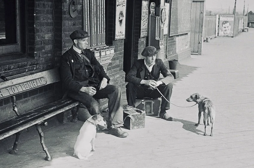 City hunt. Ferrets, terriers and rat hunters.

In the grimy, war-torn streets of 1930s and 1940s England — particularly in industrial cities like London, Manchester, and 