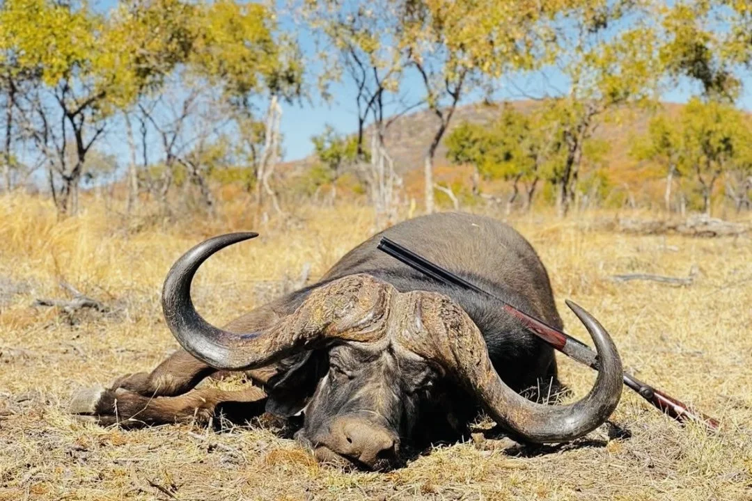 Big Game Hunting in Africa: A Guide to the Thrill of the Hunt

For centuries, Africa has captivated the hearts of adventurers and wildlife enthusiasts alike. Home to some