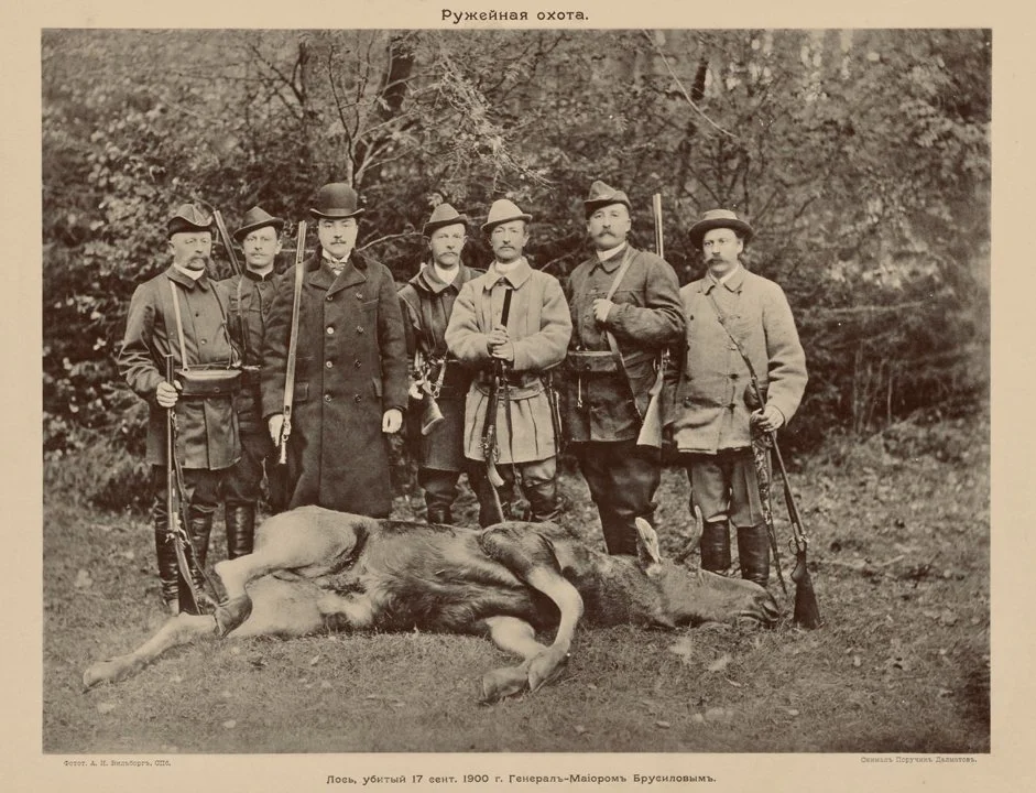 Gun hunting. Moose, hunted on September 17, 1900 by Major General A.A. Brusilov.

Major General Aleksei Alekseevich Brusilov was a distinguished Russian military leader w
