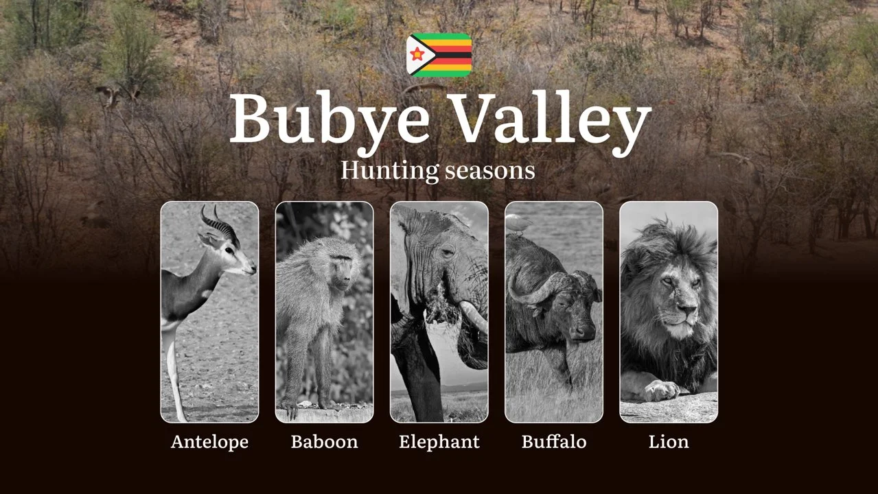 Hunting Seasons in Zimbabwe’s BUBYE VALLEY: Hunting Periods, Opening and Closing Dates, Licenses, Rules, and Times for Hunting
Hunting Rules and Seasons in Bubye Valley
