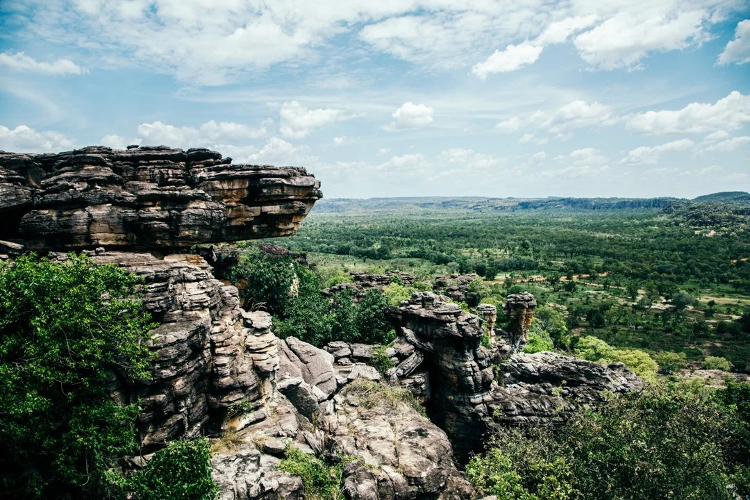 Top End Hunting NT: Adventure and Strategy in Tropical North. Licensing Requirements and Bag Limits, Laws and Legislation
The Northern Territory (NT) of Australia present
