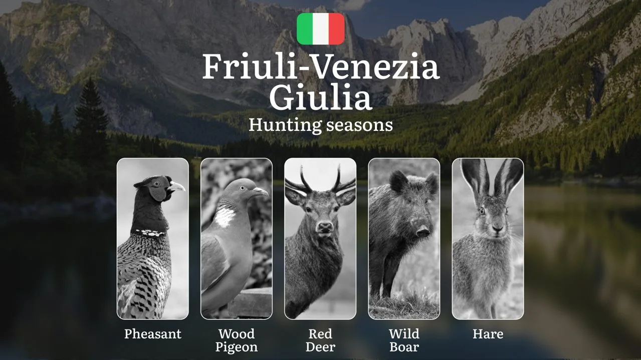Friuli-Venezia Giulia Calendar: Lagoon Hunting Seasons from Adriatic Marshes to Alpine Streams
